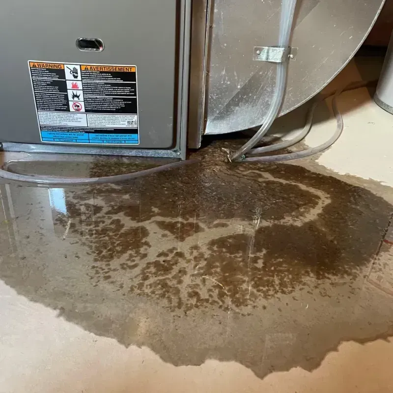 Appliance Leak Cleanup in Frederic, WI